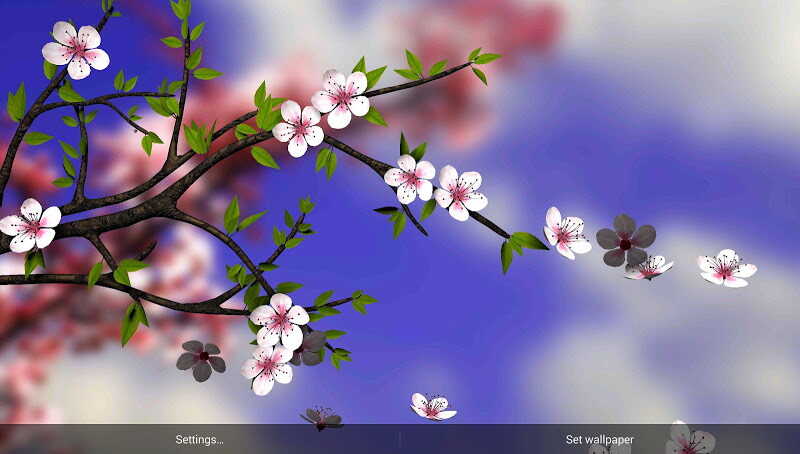 70 Off 330円 100円 美しい桜の花を鑑賞できる３ｄライブ壁紙 桜 3d視差効果と春の花 プロバージョン Androidアプリセール情報